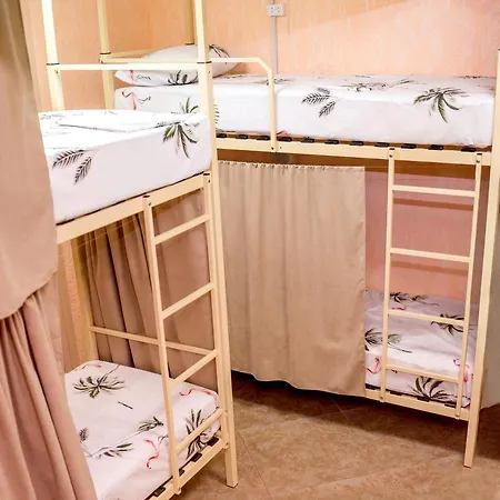 Hostel Лапки
