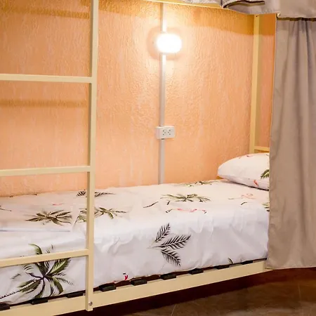 Лапки Hostel